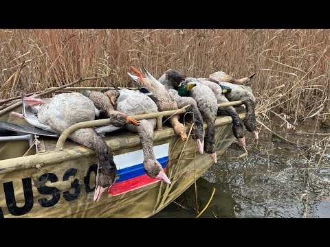 Видео: Гуси садятся прямо у лодки, нашел где ночуют гуси. Охота на гуся и утку.