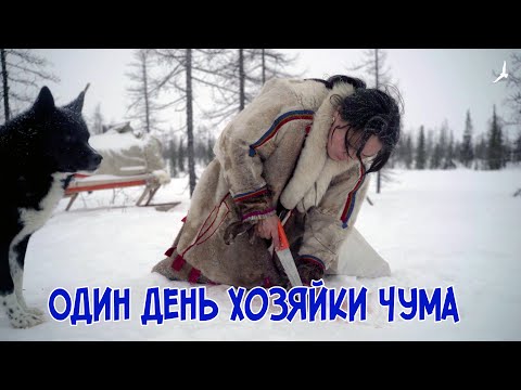 Видео: Великий кочевник Няду. Один день хозяйки чума //One day of the thum hostess