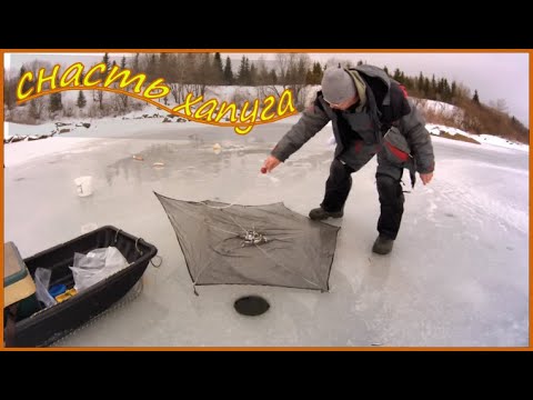 Видео: Снасть ХАПУГА . Ловим ЖИВЦА.