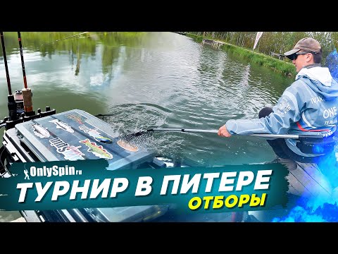 Видео: Ловля ФОРЕЛИ. Турнир в Питере - отборы. Рыбалка с #OnlySpin