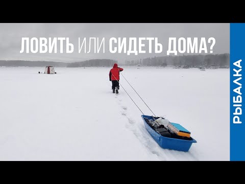 Видео: Зимовка ФИДЕРИСТА - на ДИВАН или на ЛЁД?