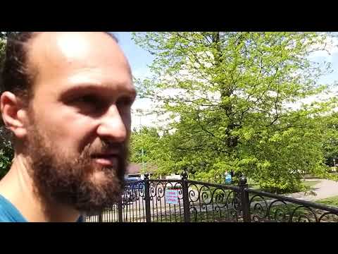 Видео: Мои метасеквойи в Бресте