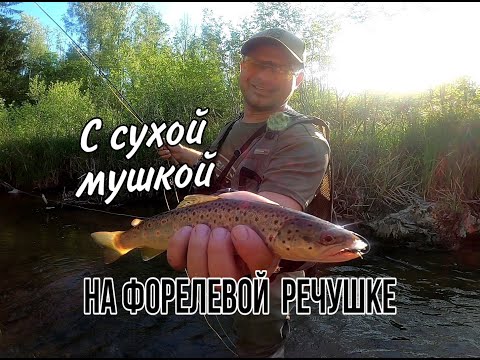 Видео: Нахлыст.Ловля форели на сухую мушку.Mayfly time.