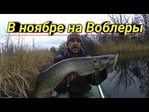 Видео: Ловля Щуки поздней осенью на Воблеры. Рыбалка на спиннинг в ноябре.