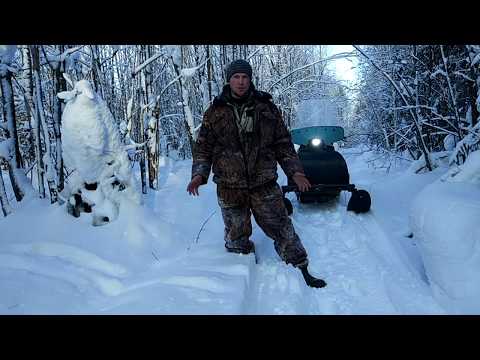 Видео: Как определить  в каком направлении прошёл зверь.