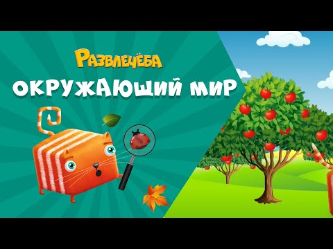 Видео: Развлечёба. Окружающий мир. Про дикие и культурные растения