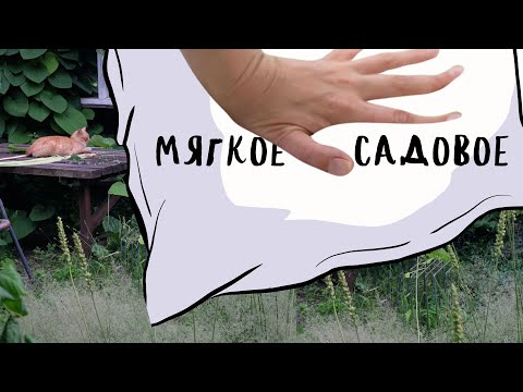 Видео: мягкое начало