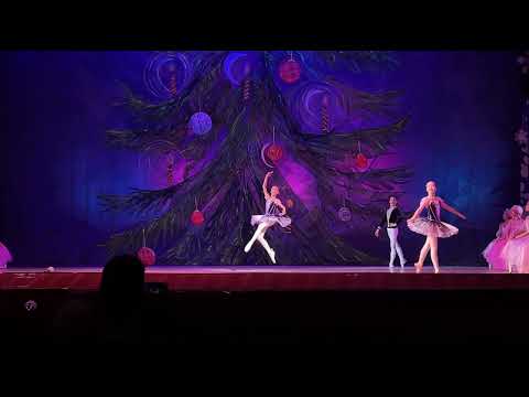 Видео: Бакаев Чынгыз 4/8 Па де труа из Балета Щелкунчик