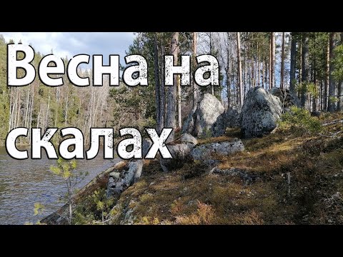 Видео: Пеший поход по Ленинградской области. Боровинка - Боровинка.