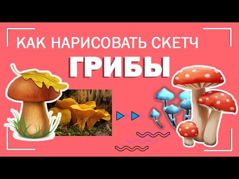 Видео: Уроки СКЕТЧА часть 7 \\ как рисовать ГРИБЫ