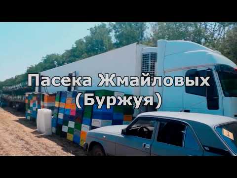 Видео: Откачка мёда. Промышленное пчеловодство. Пасека Жмайловых(Буржуй).