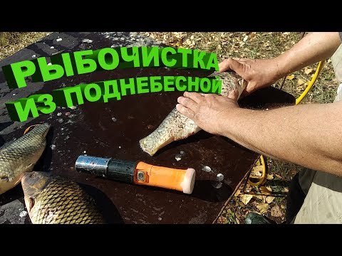 Видео: Рыбочистка аккумуляторная.