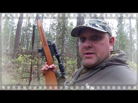 Видео: Охота с мелкашкой ТОЗ 78 01, таких дыр в рябчиках понаделали, мама не горюй!