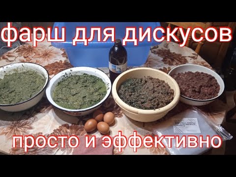 Видео: Как приготовить фарш для Дискусов