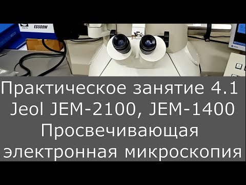 Видео: Электронная микроскопия. Практика 4.1