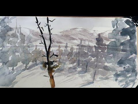 Видео: Мой Скетчвук и Быстрый Скетчинг