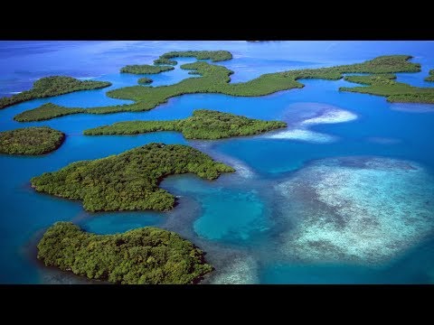 Видео: Ничто никогда не вмешивается в игру пяти элементов [Н. Махарадж]