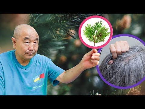 Видео: Чтобы ВОЛОСЫ не СЕДЕЛИ. Му Юйчунь.