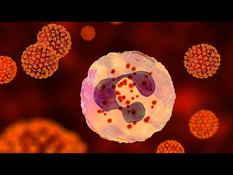 Видео: Оценка кислородзависимого метаболизма нейтрофилов НСТ-тестом