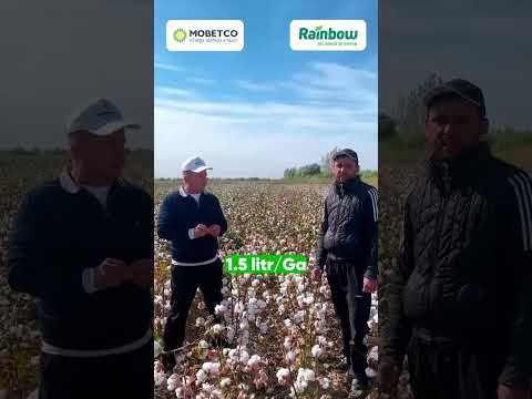 Видео: Алпомиш фермер хўжалиги раҳбари билан қисқа интервю!