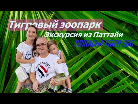 Видео: Паттайя. Зоопарк в  городе Сирача. Тигровый зоопарк. Отдых для всей семьи!