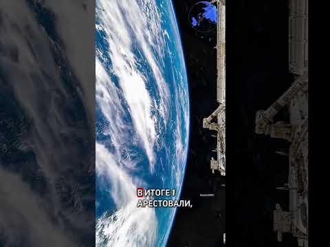 Видео: Как вижить в этом мире?