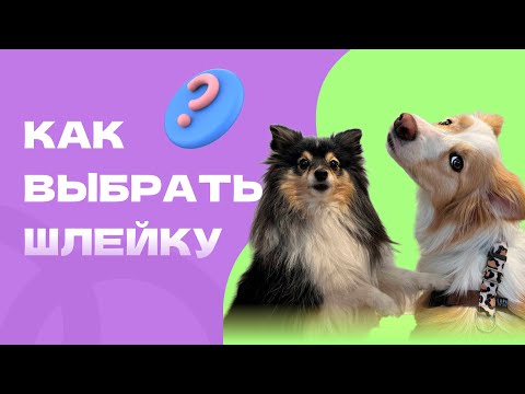 Видео: КАК ВЫБРАТЬ ШЛЕЙКУ? и на каких шлейках гуляют собаки кинолога