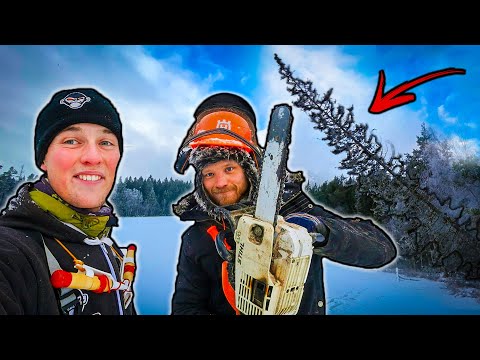 Видео: Подледная рыбалка + УКРЫТИЕ ДЛЯ ОКУНЯ| Team Galant