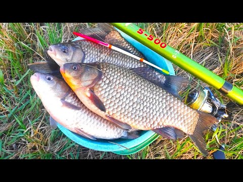 Видео: КАРАСИ ЛОПАТЫ не лезут в ведро!! Рыбалка на поплавок весной