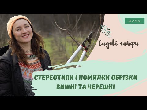 Видео: Стереотипи і Помилки Обрізки Вишні та Черешні. Як Зібрати Хороший Урожай?