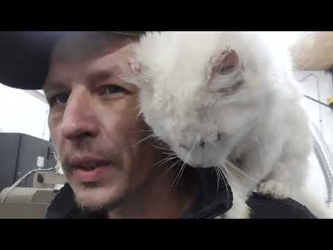 Видео: Танци со столом часть1 .  BWF SJ 125X175