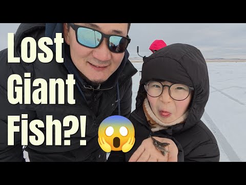 Видео: Аварга загас алдчихлаа 😱  We lost a Giant Fish 😱 Family Camping on the Ice!