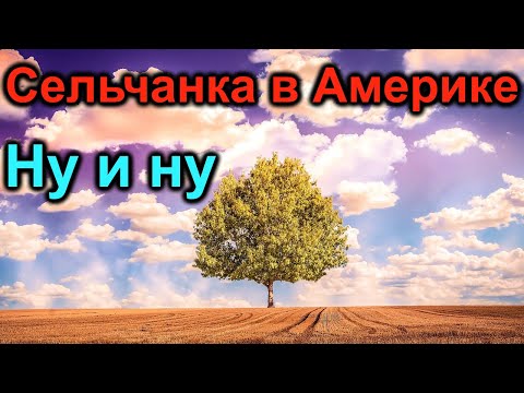 Видео: Сельчанка в Америке. Ну и ну