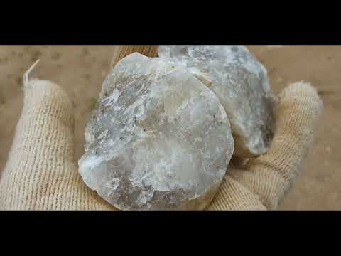 Видео: Поход в Дмитровский карьер за рисунчатым кремнем и окаменелостями