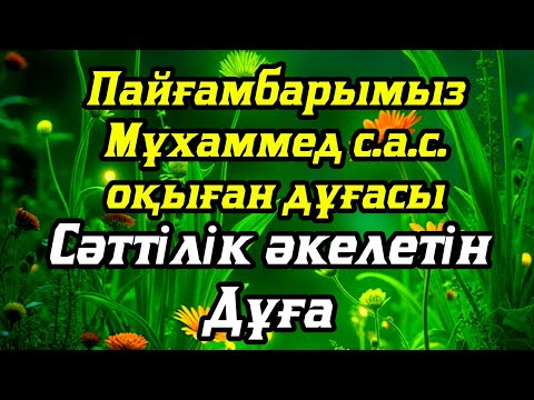 Видео: Бұл сүрені тыңдасаңыз ісіңіз өрге көтеріледі.💥 Жолыңыз ашылады ин ша Аллаһ