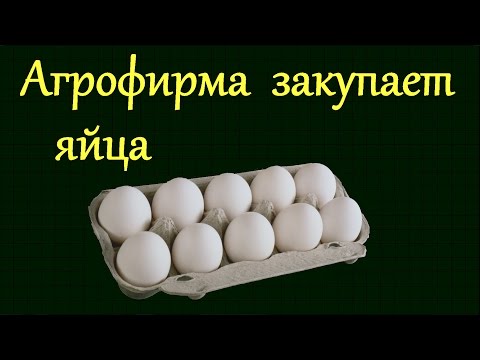 Видео: Теория вероятности из ЕГЭ и ОГЭ по математике