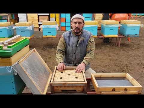 Видео: Сетчатое дно 15.03.2018