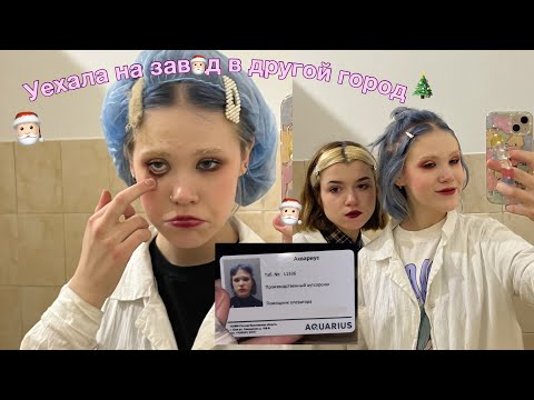 Видео: Устроила себе предновогоднее путешествие на завод
