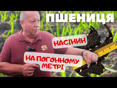Видео: ⁉️КІЛЬКІСТЬ НАСІНИН ПШЕНИЦІ🌾 на погонному метрі в залежності від сівалки 🚜