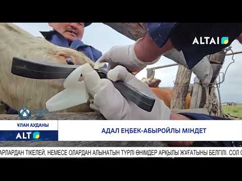 Видео: Адал еңбек - абыройлы міндет