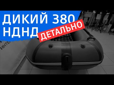 Видео: ДИКИЙ 380 НДНД детально