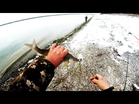 Видео: Енисей | рыбалка на хариуса | Пробный выезд