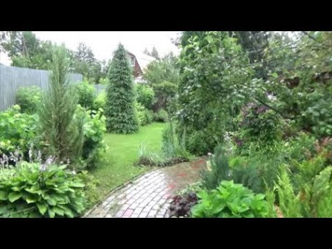 Видео: Миксбордеры в нашем саду.
