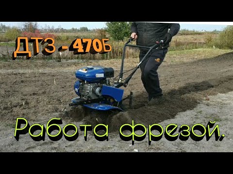 Видео: Мотоблок ДТЗ-470Б. Фрезеруем огород на зиму.