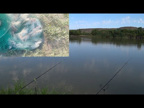 Видео: Рыбалка на реке Или.Ловля леща на удочки.