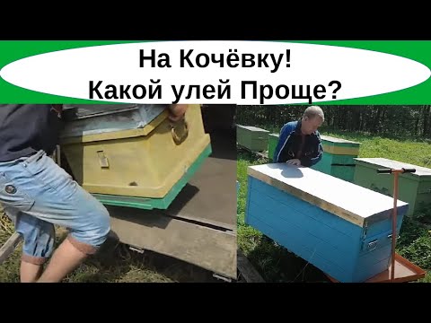 Видео: Какой улей лучше для кочевки. Погрузка, перевозка Владимирских ульев до 1000 км, сравнение с Дадан