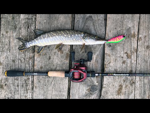 Видео: Рыбалка на бейткастинг | Короткая прогулка в непогоду
