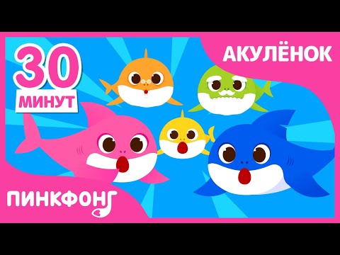Видео: Акулёнок туруру туру | +Сборник | Песни про Животных | Семья Акул | Пинкфонг песни для детей