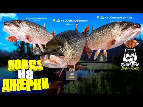 Видео: Русская рыбалка 4.🎣🦈 оз. Старый Острог 🐬🐬🐬💦 ЛОВЛЯ на ДЖЕРКИ от LATORSO 👀