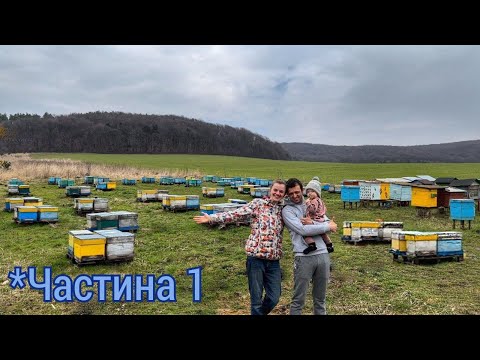 Видео: Кочова пасіка 300 + Викачати 120 кг меду з вулика! Пасіка сімї Кіщун. *Частина 1.